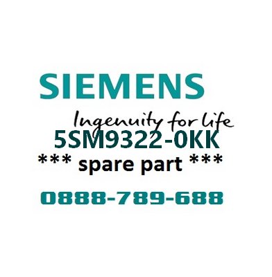 Phụ kiện bảo vệ dòng rò loại AC cho MCB 5SY Siemens 5SM9322-0KK