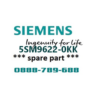 Phụ kiện bảo vệ dòng rò loại AC cho MCB 5SY Siemens 5SM9622-0KK