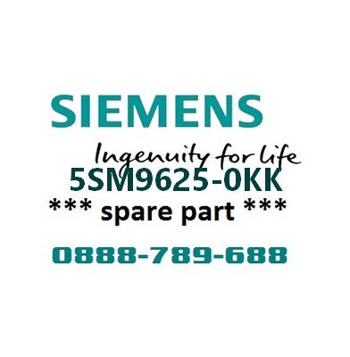 Phụ kiện bảo vệ dòng rò loại AC cho MCB 5SY Siemens 5SM9625-0KK