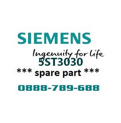 Phụ kiện điện cho MCB 5SL, 5SY, 5SP4 Siemens 5ST3030