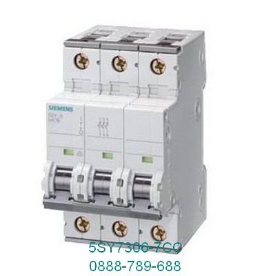 Cầu dao tự động MCB 5SY7 Siemens 5SY7306-7CC