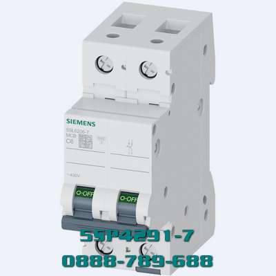 MCB 5SP4291-7 2 cực 100 A 400 V 10kA