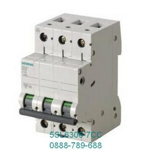 Cầu dao tự động MCB 5SL6 - 5SL4 Siemens 5SL6306-7CC