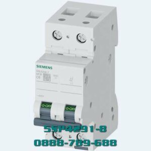 MCB 5SP4291-8 2 cực 100 A 400 V 10kA
